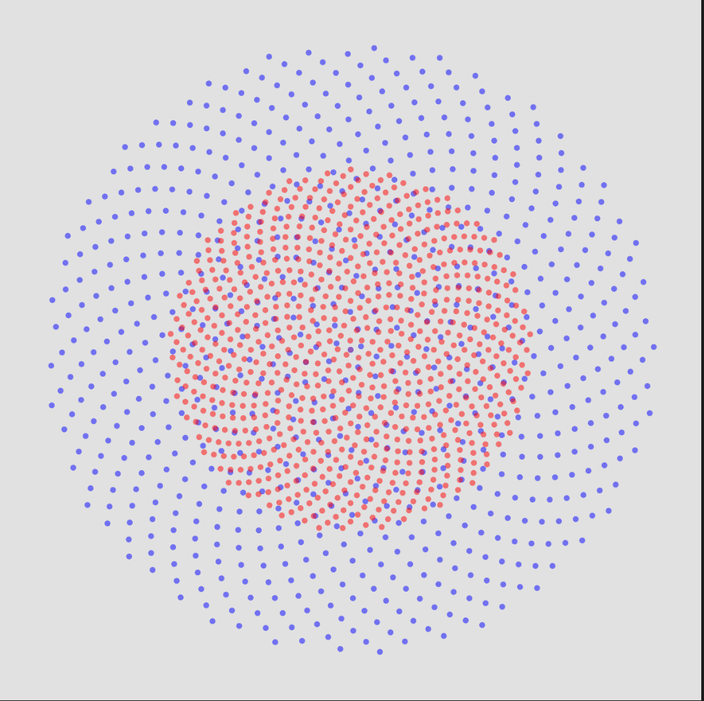 Hypnotic Phyllotaxis